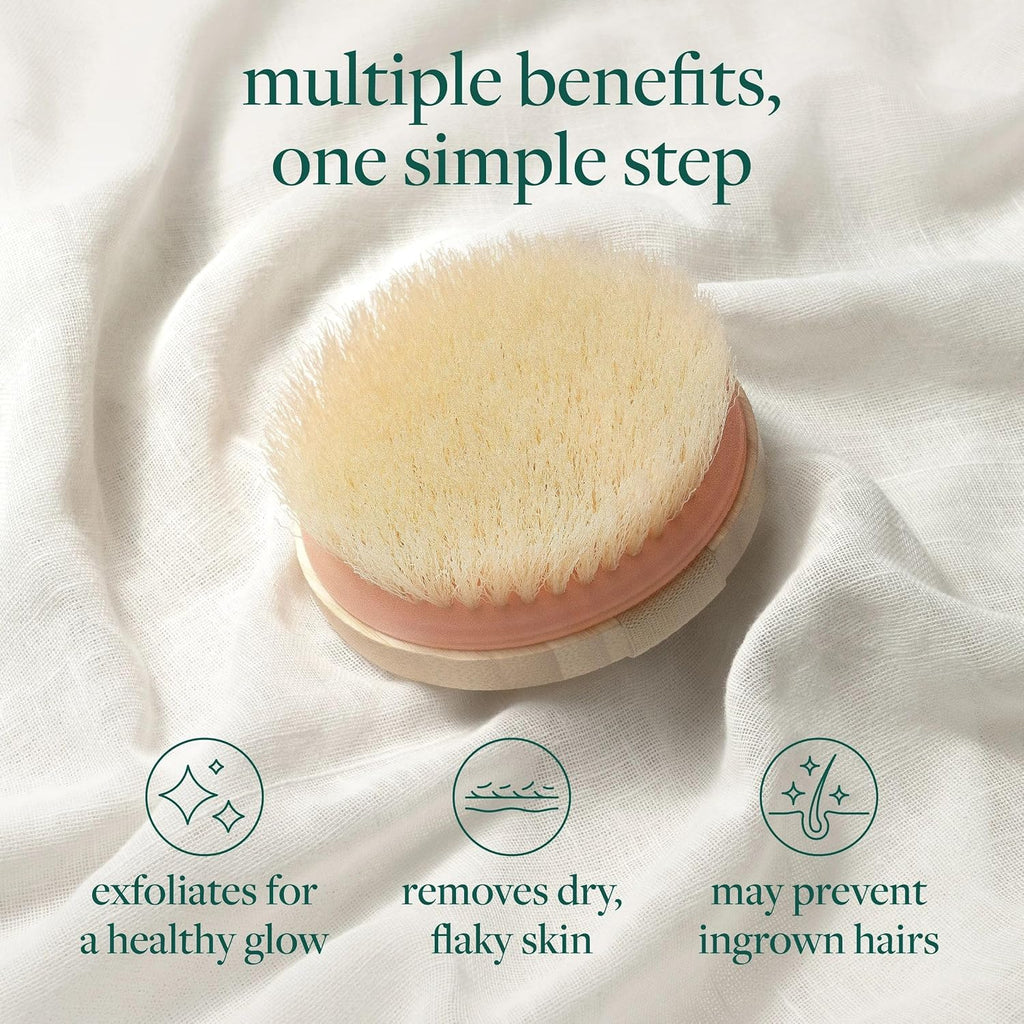 Dry Body Brush for Dry Brushing, Smooth Skin, 1 Count